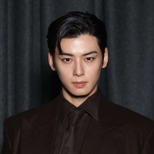 cha-eun-woo