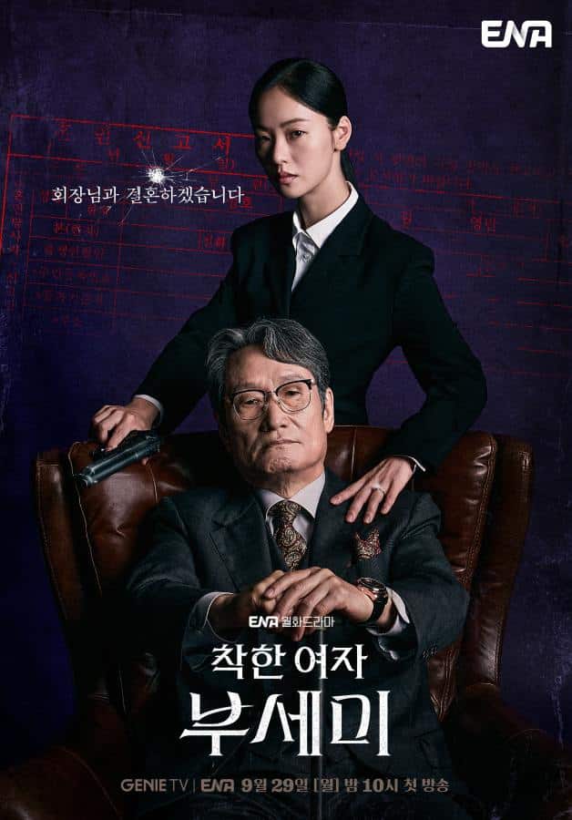 ms-incognito-poster