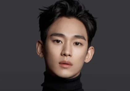 kim-soo-hyun-lawyer
