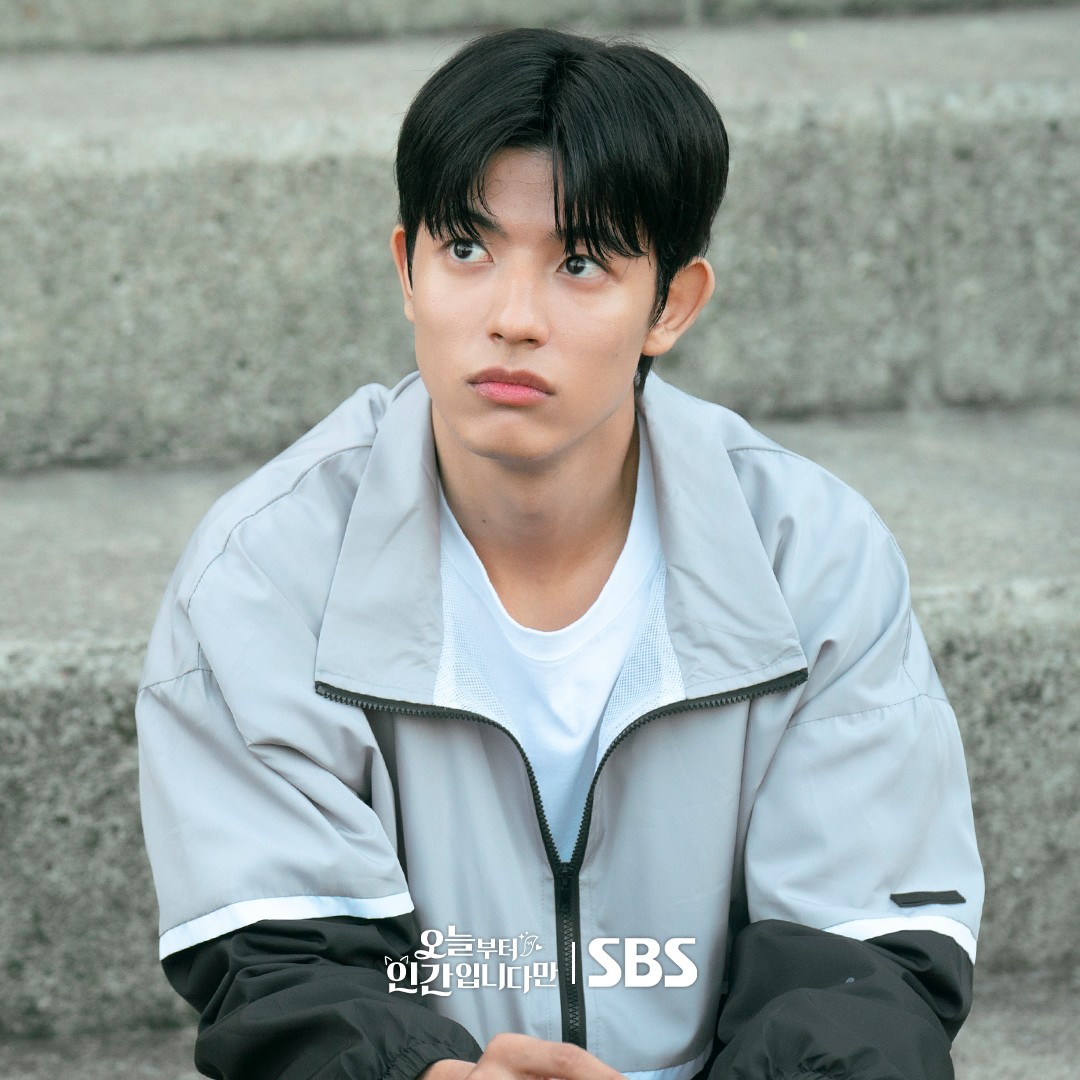 노테일-투-텔-스틸스2