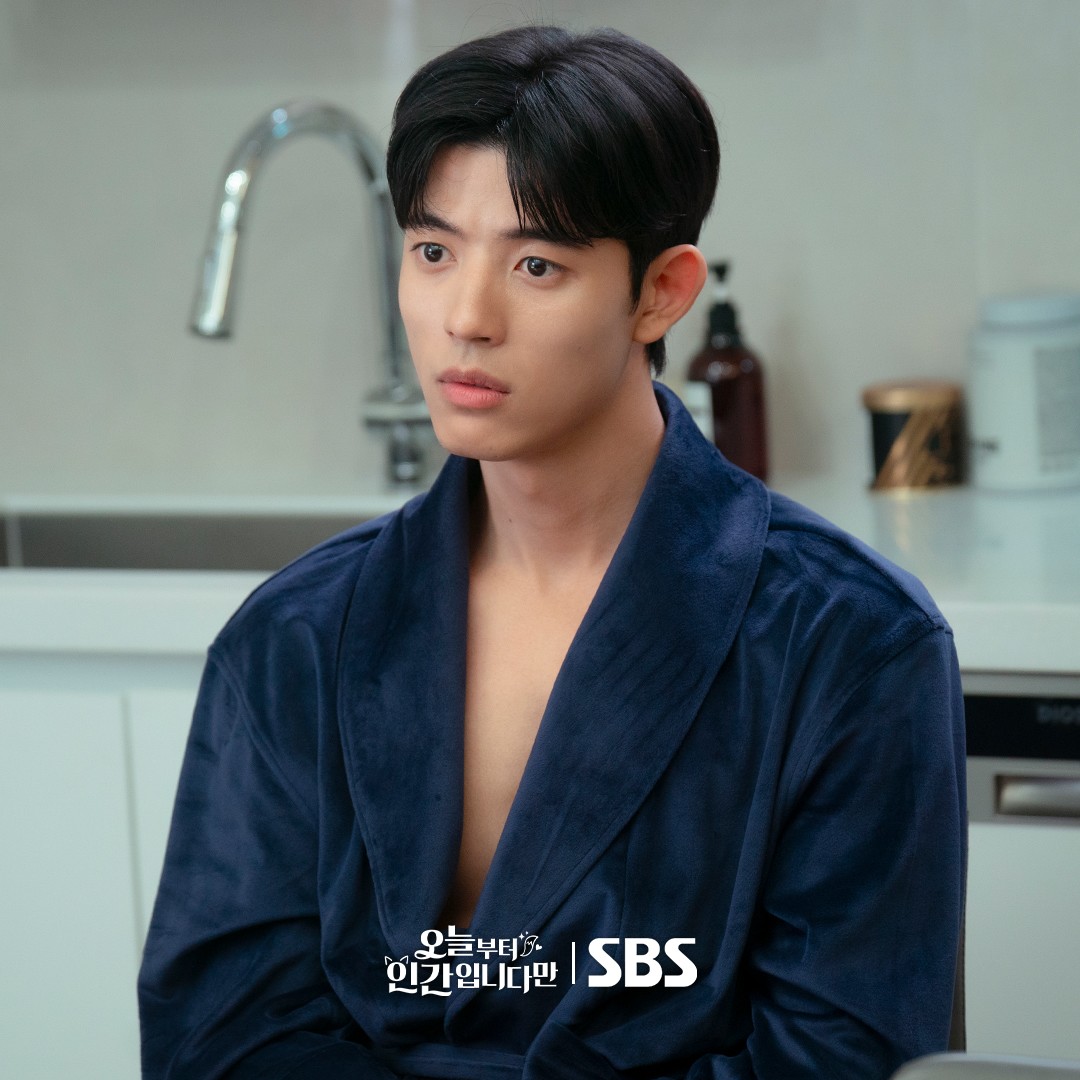 노테일-투-텔-스틸스4