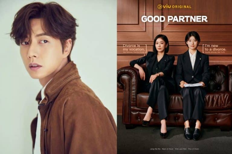 park-hae-jin-good-partner2